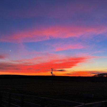 Mingle Dale- Bugthorpe Grange Glamping Villa Stamford Bridge Bagian luar foto